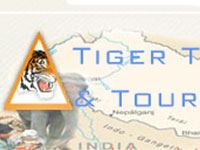 Tiger Tours &Travels P. Ltd.